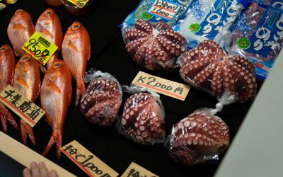 Voyage au Japon – 24 Février 2017 – Tsukiji – Ueno – Akihabara