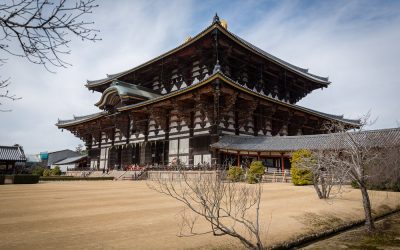 Voyage au Japon – 1er – 2 Mars 2017 – Nara, Osaka et départ